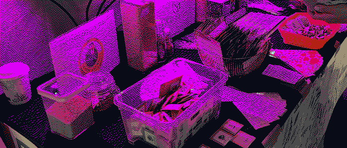 Here would be an image of a stall at an educational event but something went wrong.